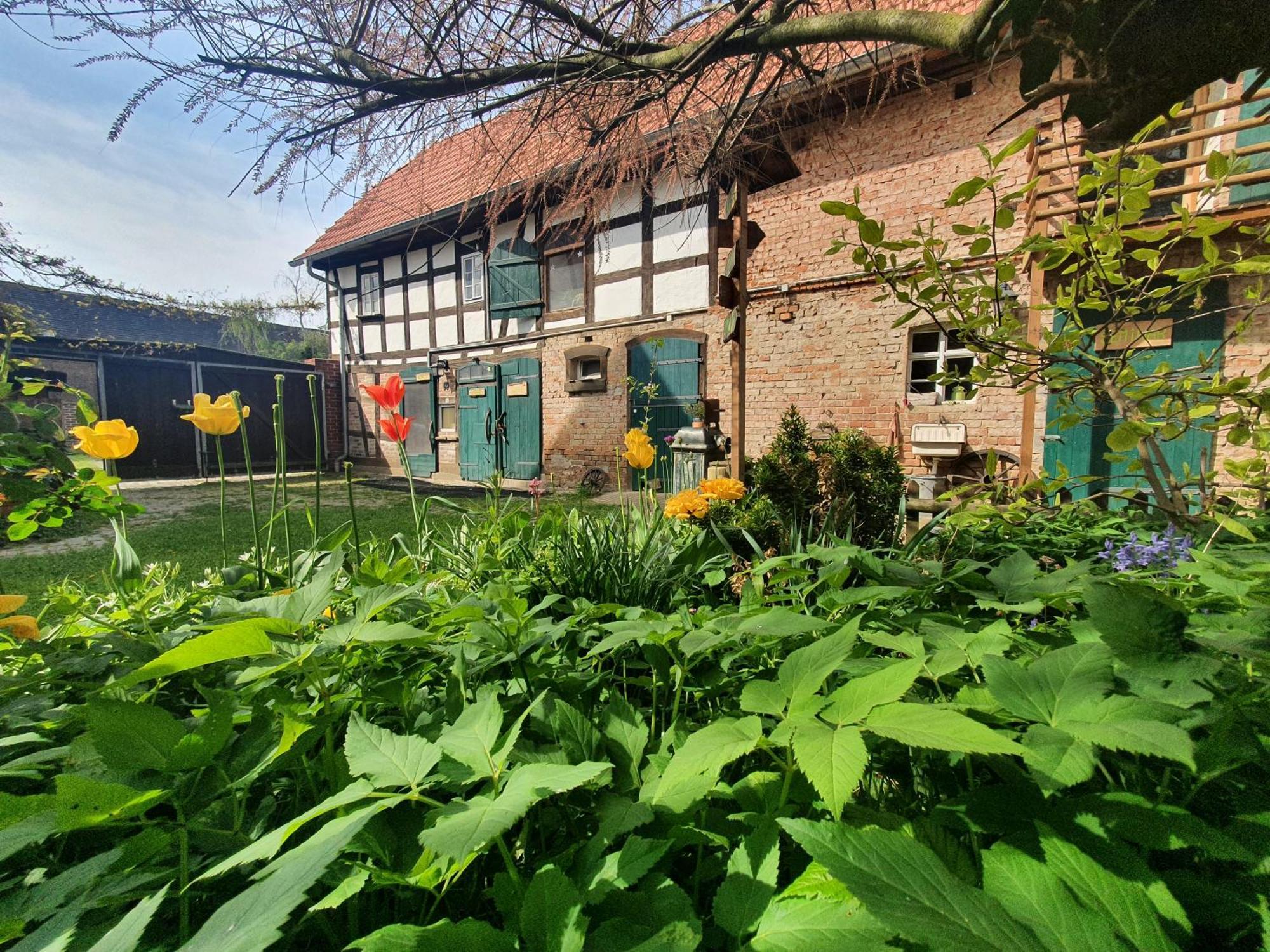 Ferienhof Gruene Kuh Elsteraue Dış mekan fotoğraf